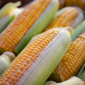 10 foods to avoid to prevent Crohn’s flare-ups